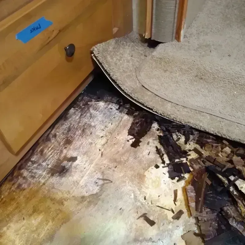 Best Wood Floor Water Damage Service in Winnfield, LA